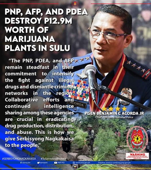 PNP, AFP, AND PDEA DESTROY P12.9M WORTH OF MARIJUANA PLANTS IN&nbsp;SULU